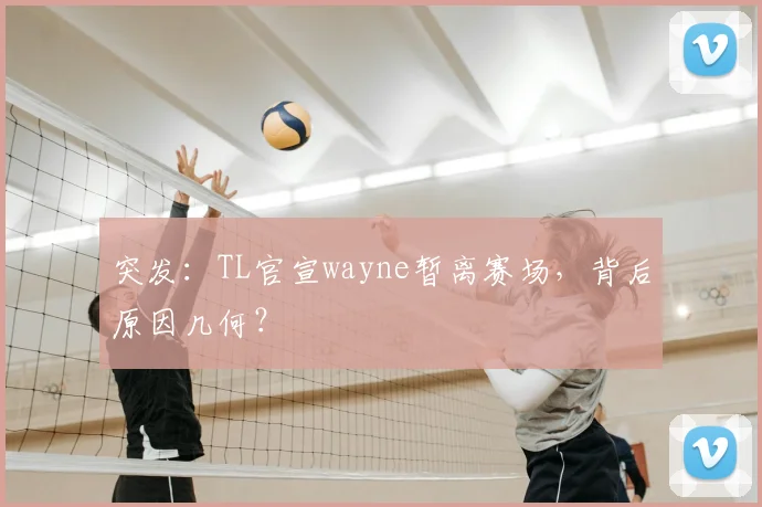 突发:TL官宣wayne暂离赛场,背后原因几何?
