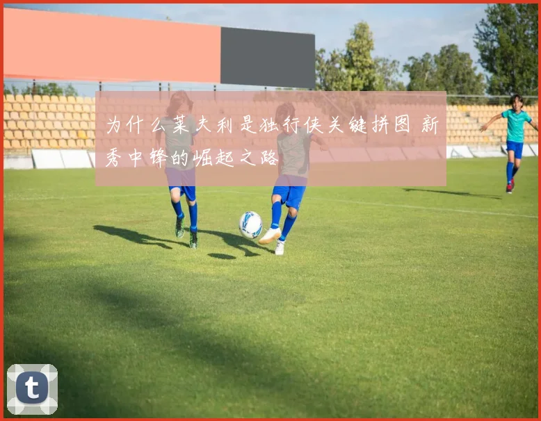 为什么莱夫利是独行侠关键拼图 新秀中锋的崛起之路